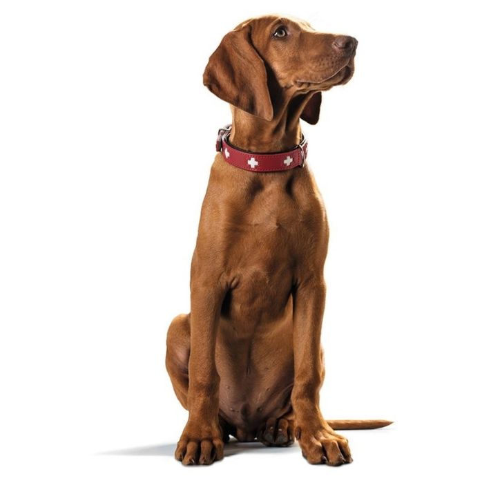 Кучешка каишка - кожена , Hunters