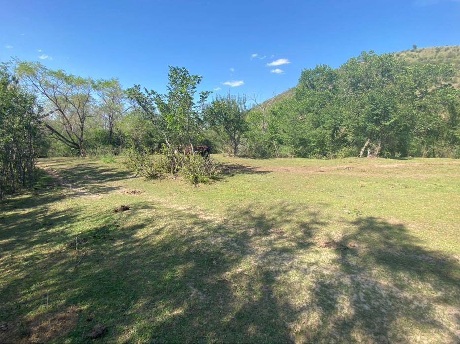 Супер Фазенду продам