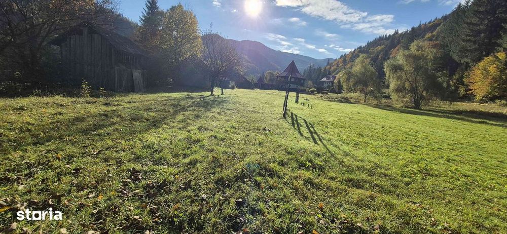 Teren intravilan de vânzare, 4096 mp, acces asfaltat