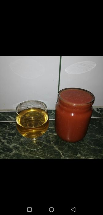 Винный гриб " Рислинг "