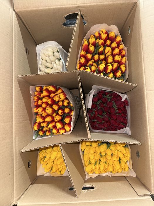 Пионы тюльпаны пионовидные