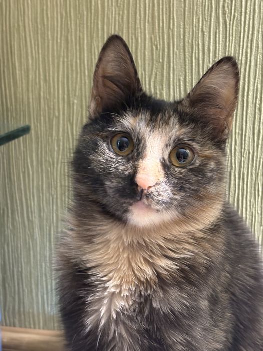 Только ответственным