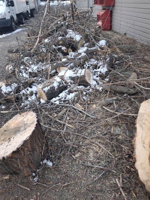 Продаются  дрова.