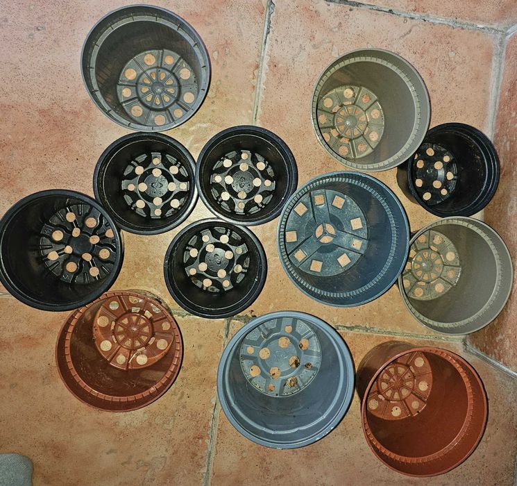 Саксийки за разсат 20 бр