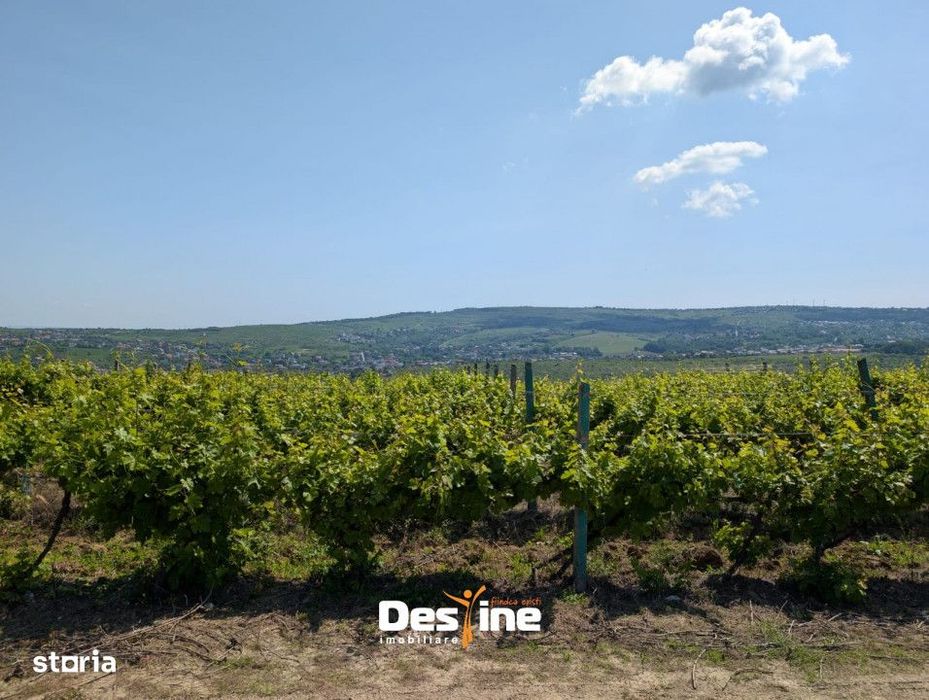 Barnova - Teren Intravilan 974 Mp, utilitati, drum betonat