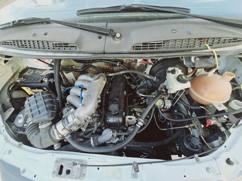 Gazel Gurzavoy Sotiladi