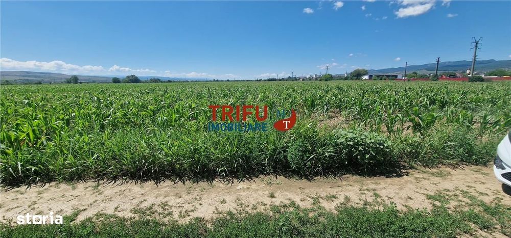 Teren de vanzare langa soseaua de centura, 5100 mp