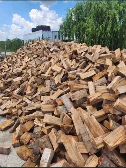 Promoție specială la lemne de foc – tonă/palet, stoc limitat!