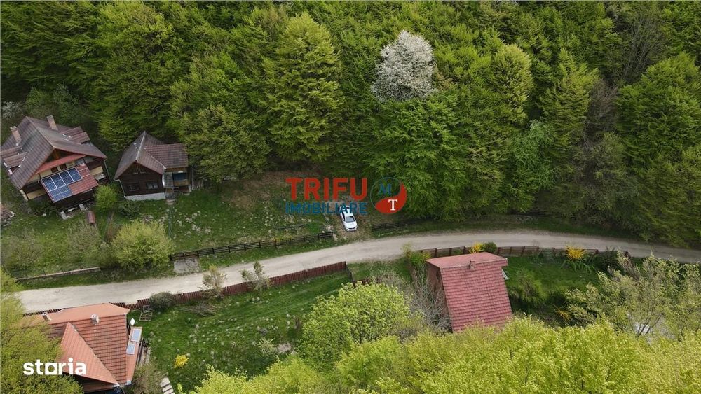 Casă de vacanță la pădure | Teren 891 mp | Valea Ighielului