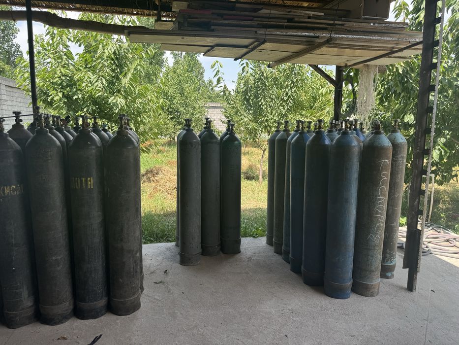 ARGON 500.000 dastvka