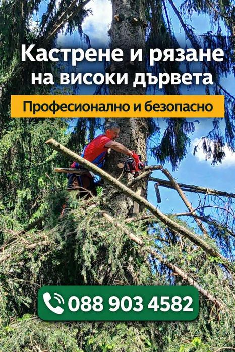 Почистване на дворове, косене на трева