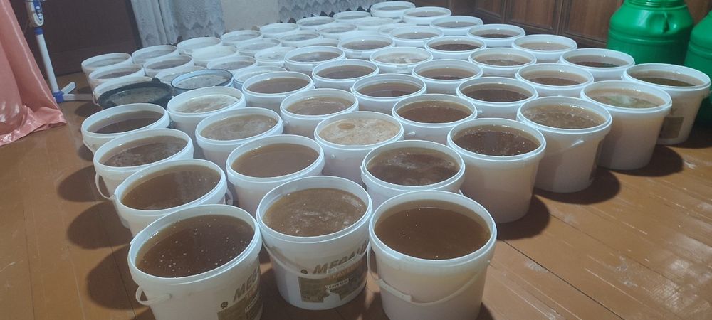 #тогасал #zominasali  #асал #asal #paxtaаsali #mayskiasal  #gulasali