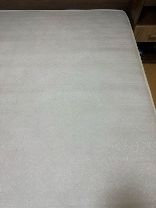 Detailing auto | Diagnoza AUTO |Ambientale | Codari AUTO | Windows-uri