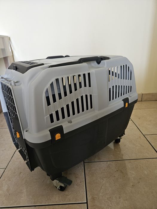 Cuaca transport animale