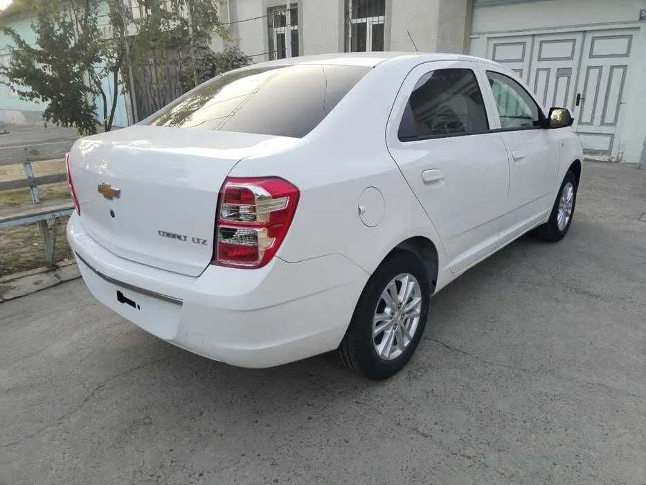 naxt va nasiya savdoga Cobalt stayl