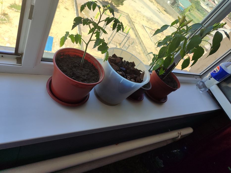 Бу пластиковые рамы