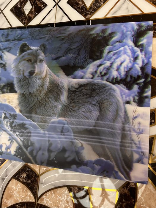 3д картина с белым волком