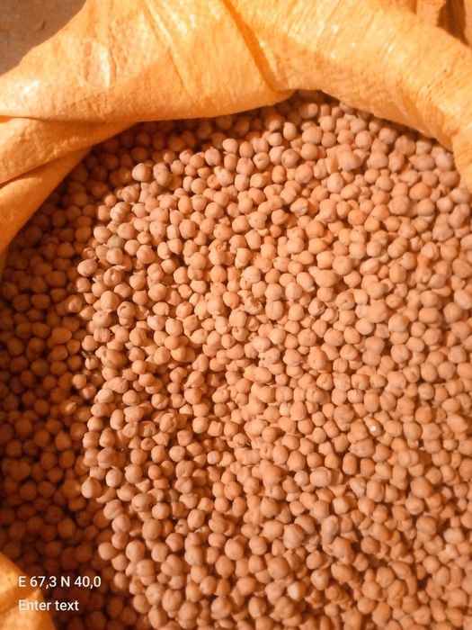 Noʻxat sotiladi loʻnda