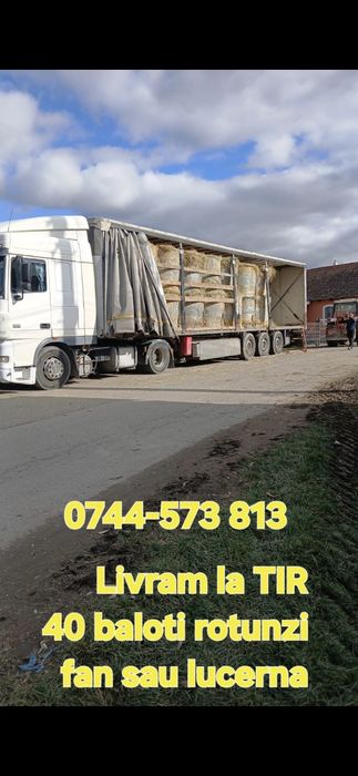 Baloti fan sau lucerna rotunzi min.40.drept 500.Transp.TIR inclus Ro.