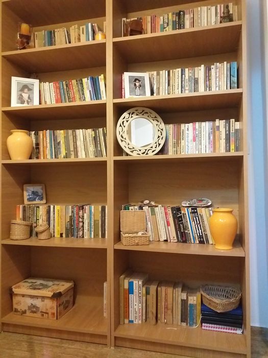 Vand etajera/biblioteca
