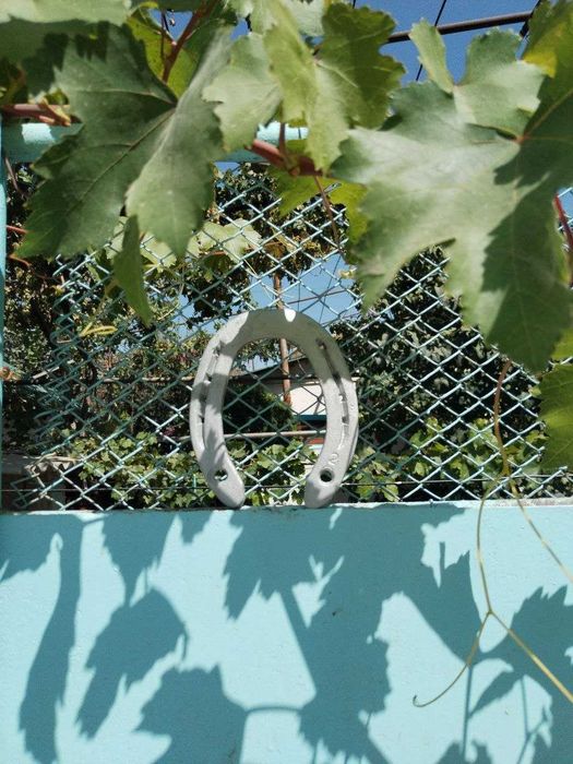 Подкова на счастье. Тaqa. Тақа. Оберег. Успейте занести счастье в дом.