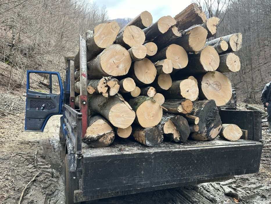 Lemn  LA 3m SAU BOCI