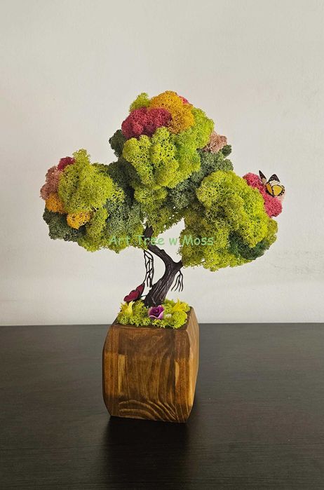 Дърво Бонзай със Скандинавски мъх в керамична и дървена кашпа