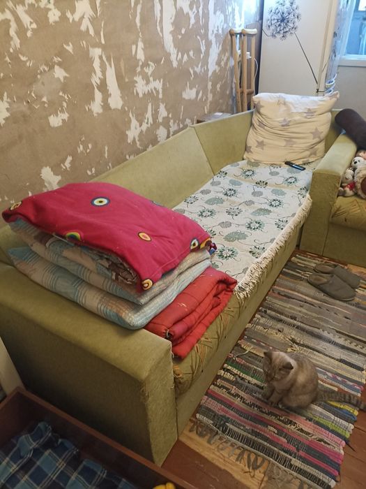 Отдам бесплатно. Самовывоз.