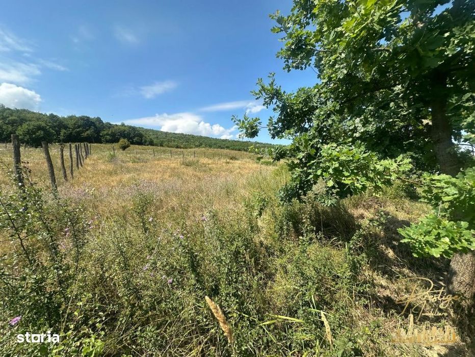 Teren intravilan de 576 mp de vanzare pe drumul DC59 , Haieu - Bihor