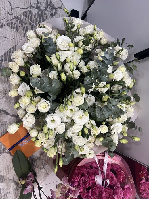 Адеми свежий гул бугинги