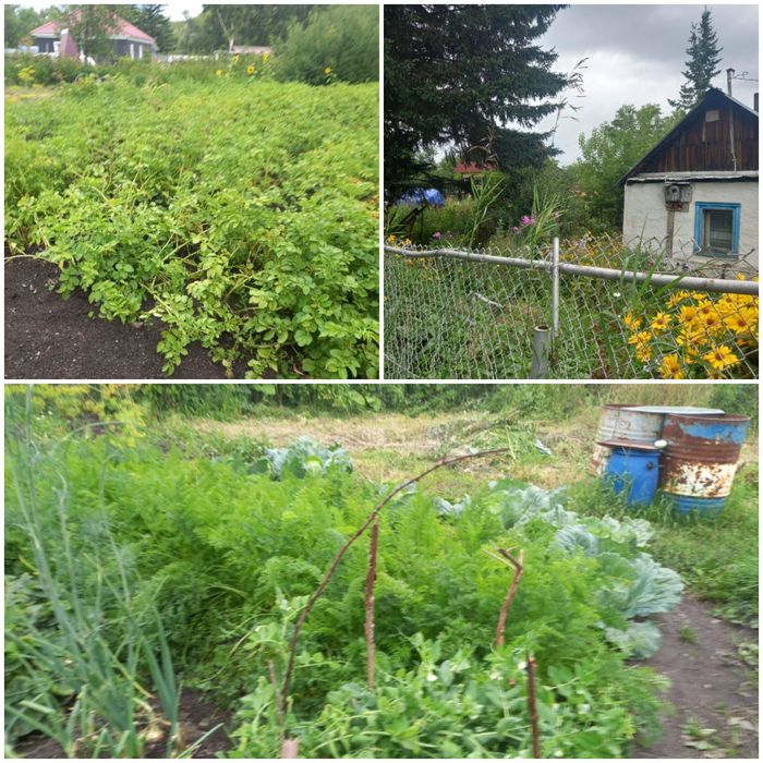 Продам земельный учпсток