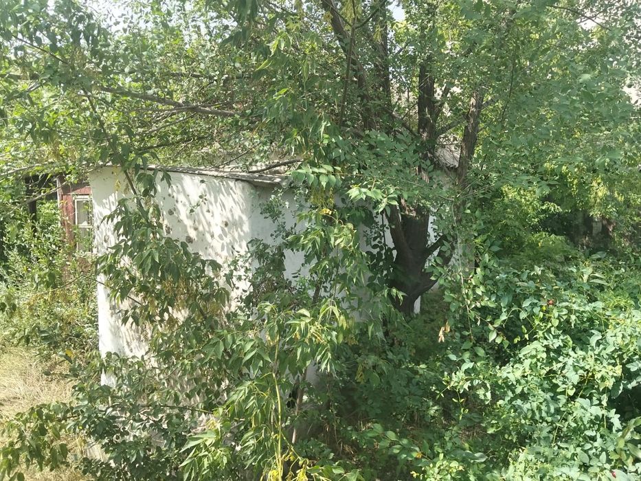 Жер сатылады жаздык уи бар