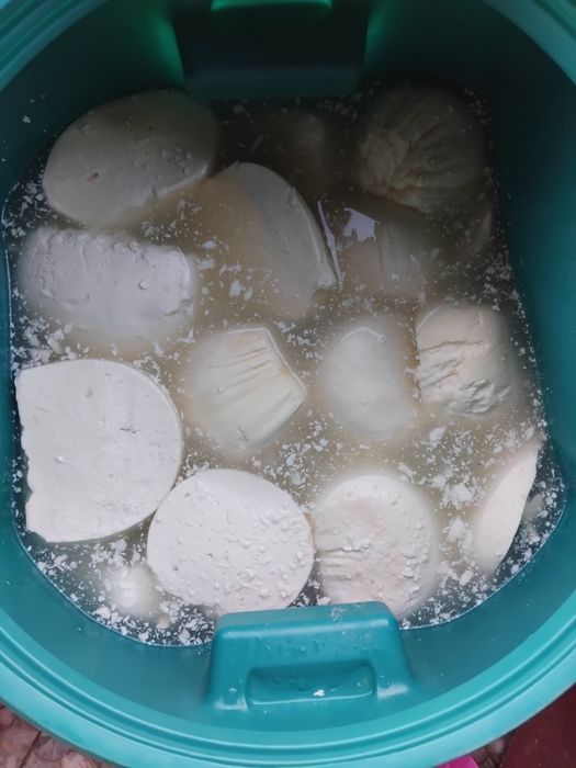 Brânză de vaca Albeni județul Gorj