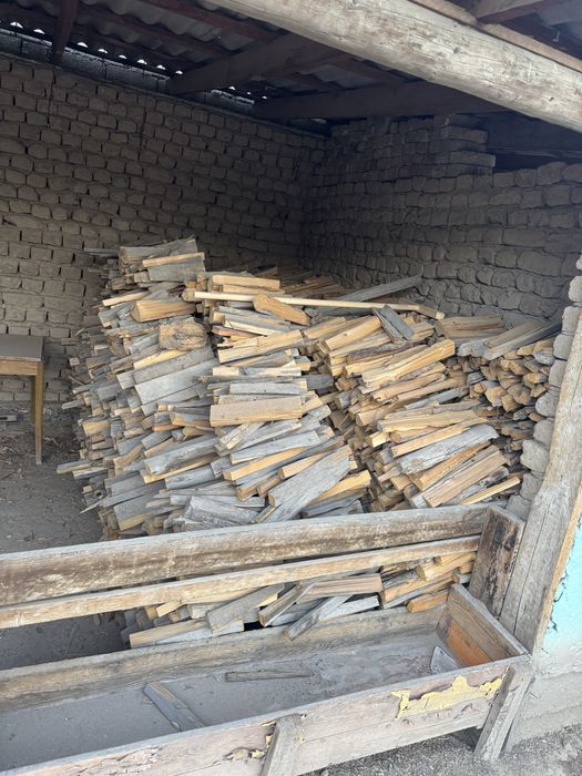 Ағаштар бар сатылатын отынға
