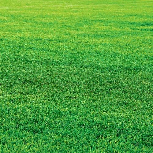 газон уриш хизмати