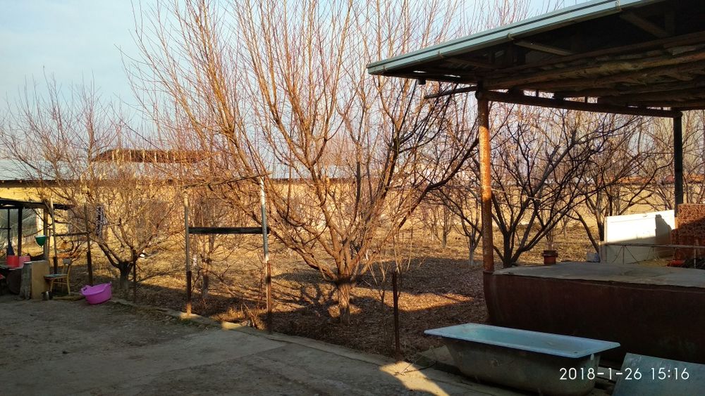 16 сотых Обмен или Аренда или продажа. Ферма бизнеси.