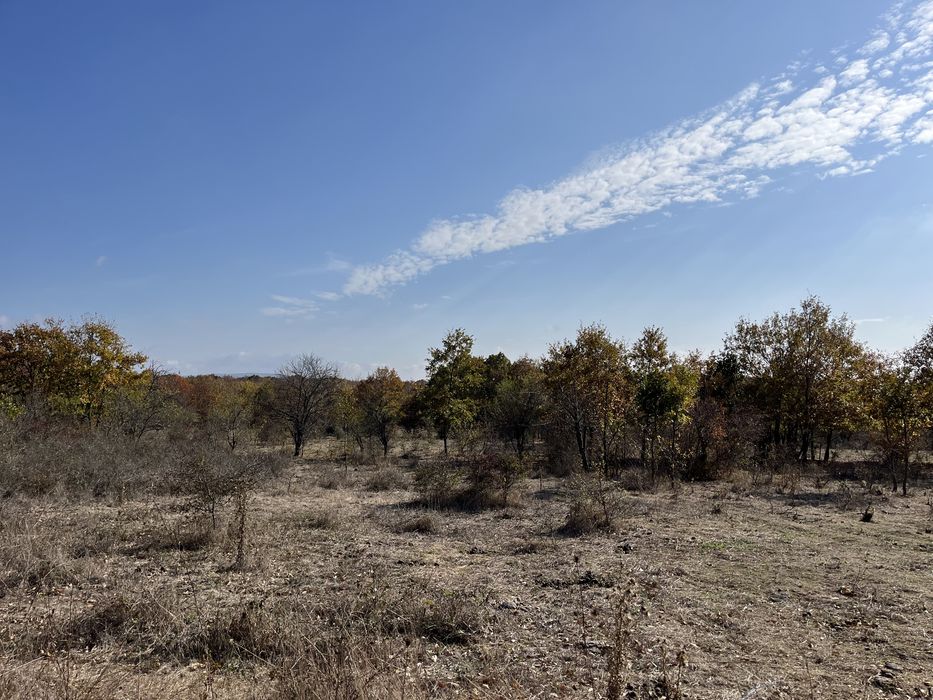 Продава се Парцел в с. Росен, Област Бургас - 1118 кв.м за 25 €/кв.м - Снимка #8