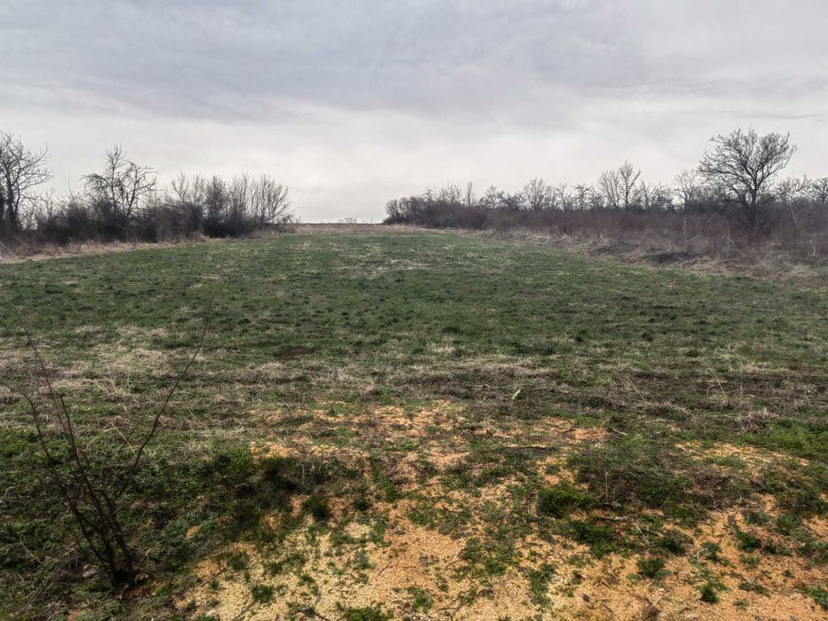 Продава се Парцел в с. Пчелище, Област Велико Търново - 1800 кв.м за 10 €/кв.м - Снимка #6