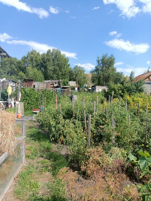 Продам дом в селе Ушаново