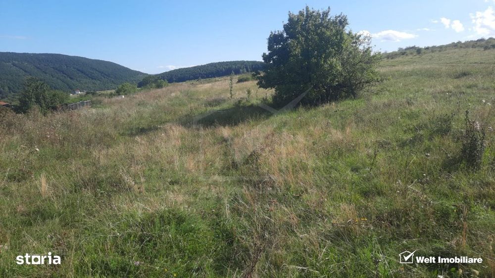 Teren de vanzare | Autorizatie de constructie casa pasiva | Salicea, j