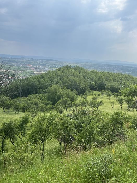 Teren ideal pentru cabane