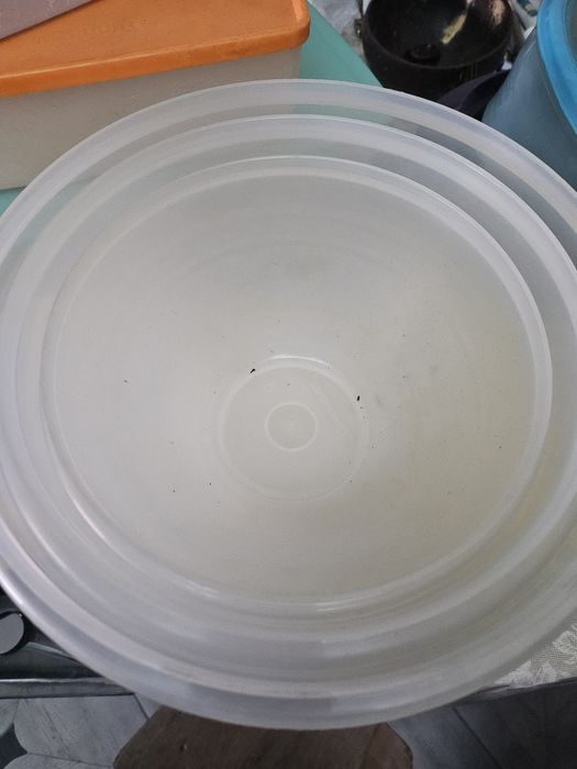 Продам контейнеры Tupperware