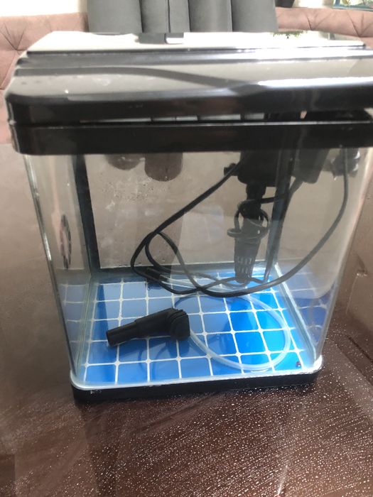 Аквариум  10 литров