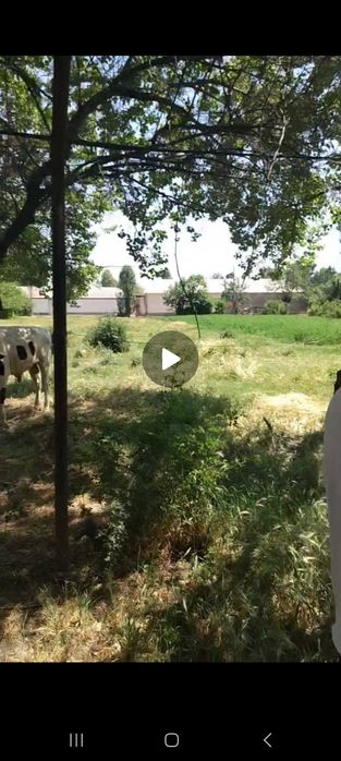 40 sotix yer maydoniga ega uy sotiladi