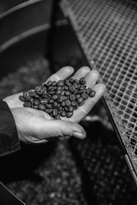 Кофе в зернах Италия. Premium Crema Oro Bristot.