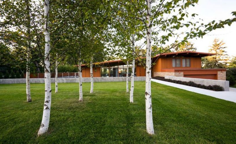 Ландшафтный дизайн