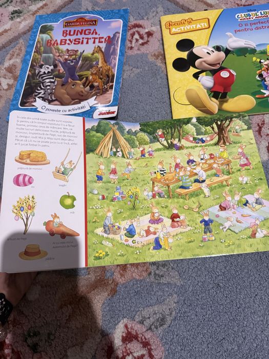 Carte Cauta si gaseste. Cartonata integral