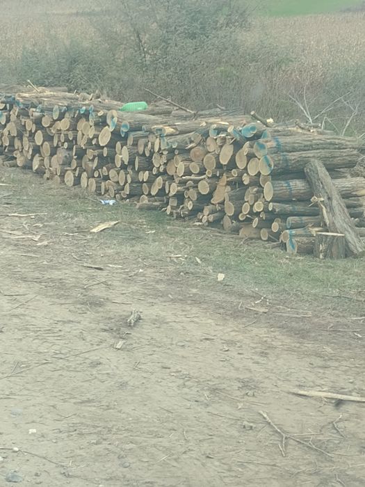 Lemne de foc esență