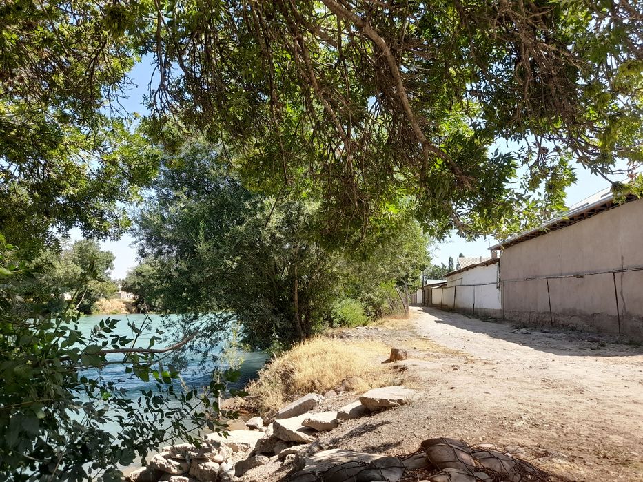 Срочна Уи солилади ховли катта богида хамма мевалари бор