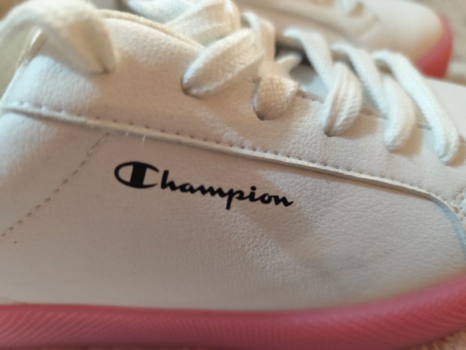 Champion 36 номер